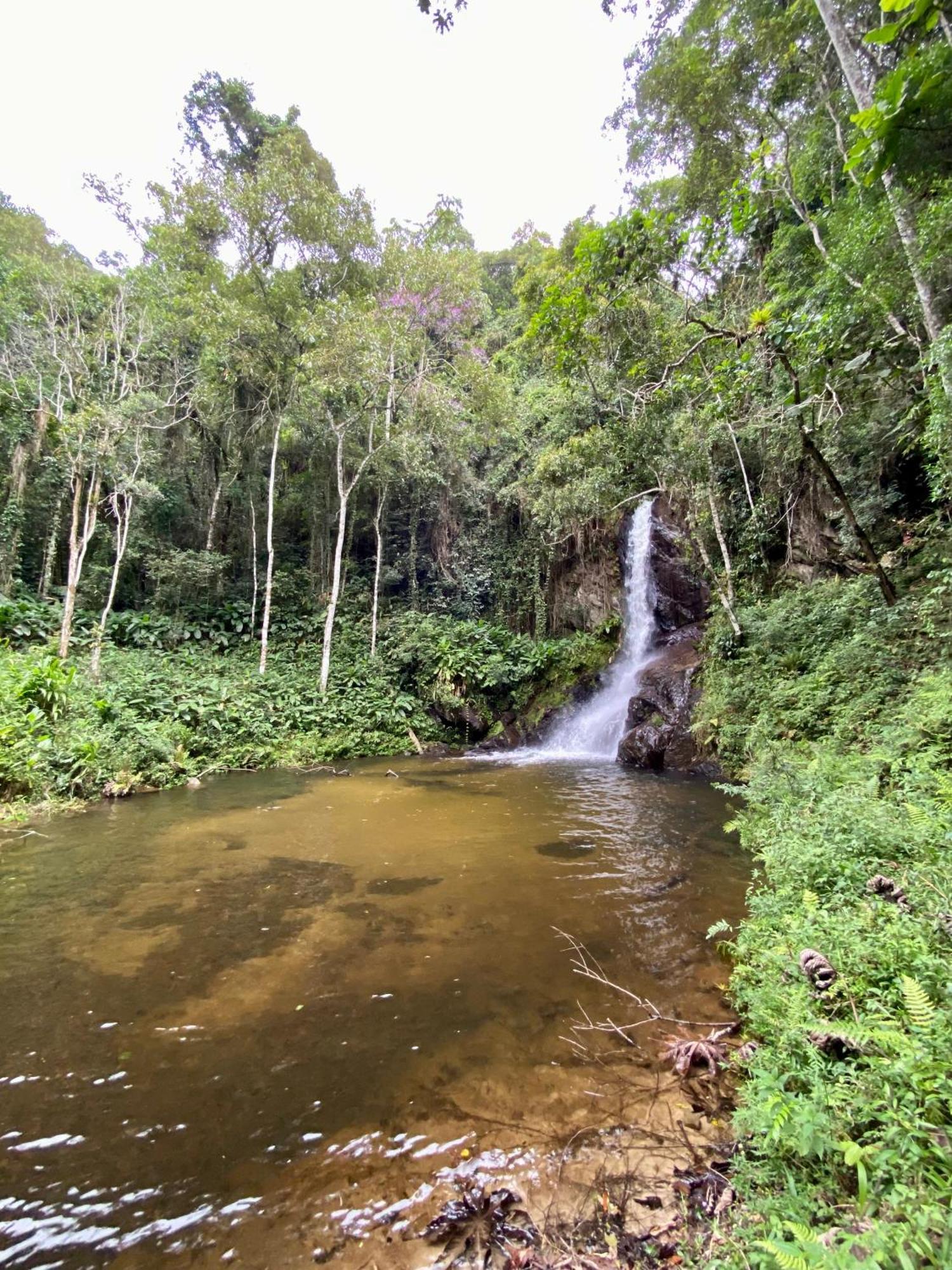 Chales Fazenda Floresta Das Araucarias Cunha Exterior foto